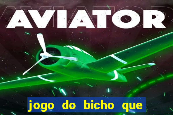 jogo do bicho que paga no pix